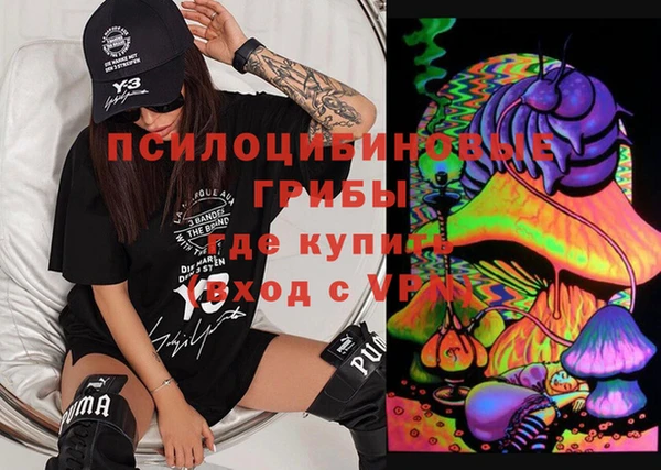 ПСИЛОЦИБИНОВЫЕ ГРИБЫ Алексин