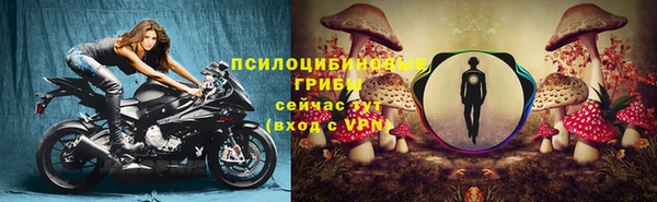 ECSTASY Абинск