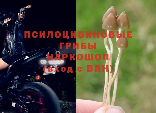 мефедрон Абаза