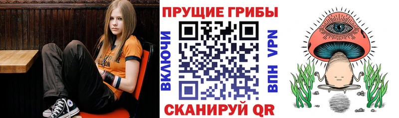 мега ссылки  продажа наркотиков  Щёкино  Галлюциногенные грибы ЛСД 